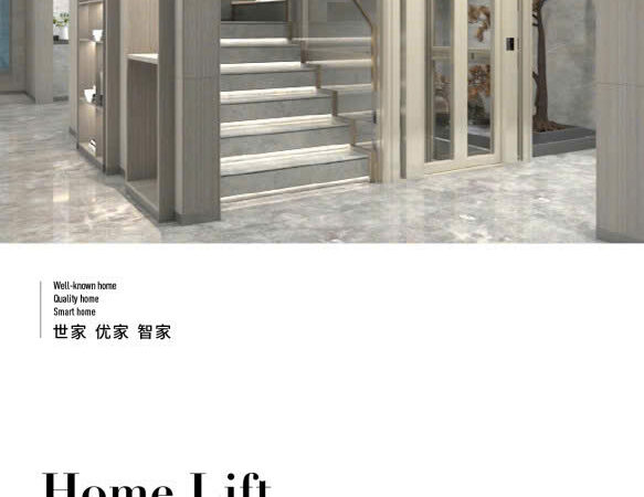 Thang gia đình (Home Lift)