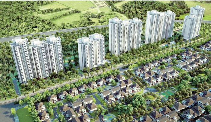Chung cư rừng cọ – Khu đô thị Ecopark